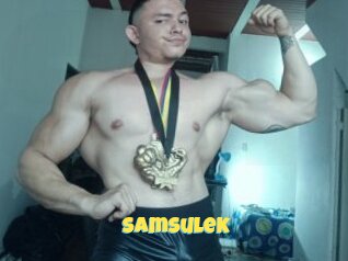 Samsulek