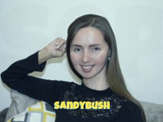 Sandybush