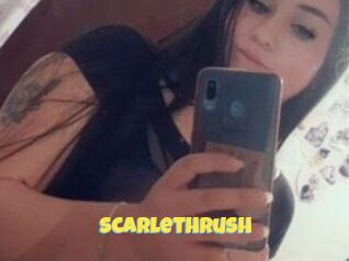 Scarlethrush