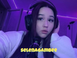 Selenagambee