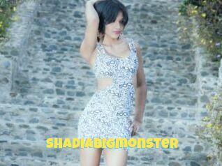 Shadiabigmonster