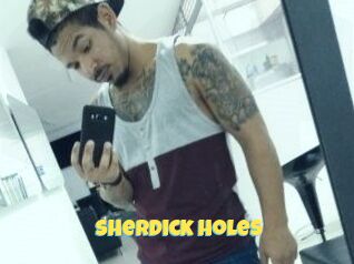 Sherdick_holes