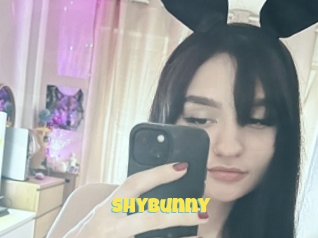 Shybunny