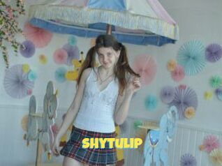 Shytulip