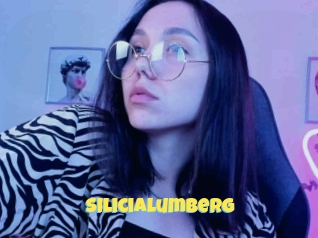 Silicialumberg