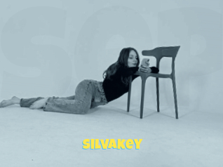 Silvakey