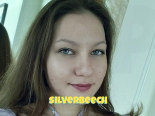 Silverbeech
