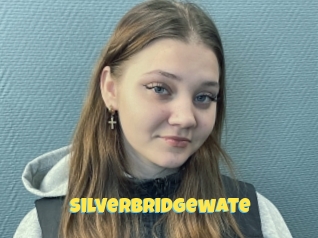 Silverbridgewate
