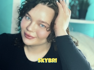 Skybri