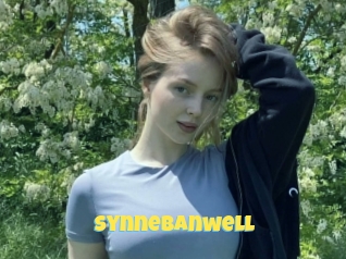 Synnebanwell