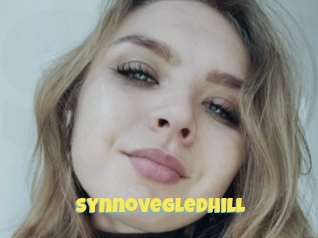Synnovegledhill