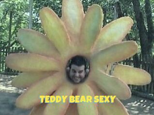 TEDDY_BEAR_SEXY