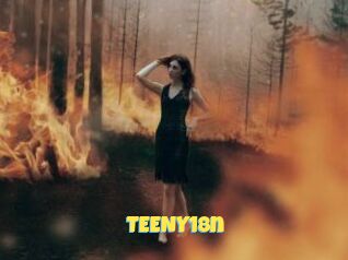 TEENY18n