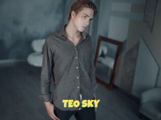 TEO_SKY