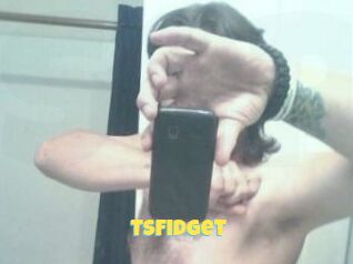 TSFidget