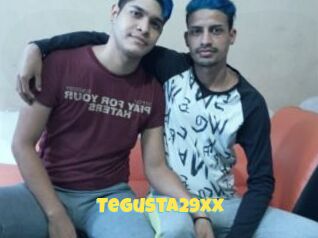 Tegusta29xx