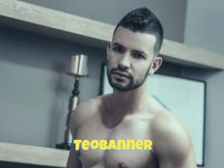 TeoBanner