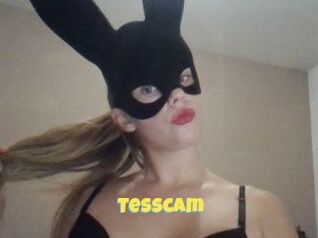Tesscam
