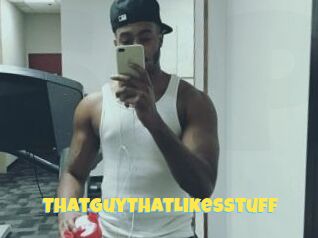 ThatGuyThatLikesStuff