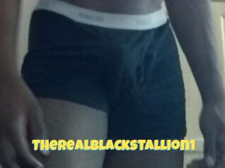 TheRealBlackStallion1
