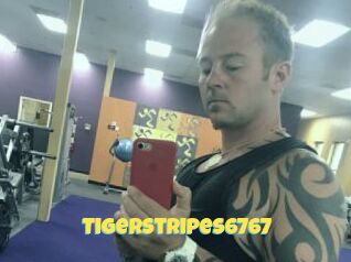Tigerstripes6767