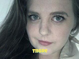 Tiigre_