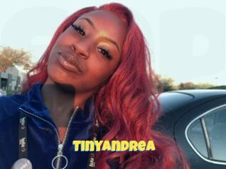 TinyAndrea