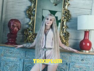 TrixiPlum