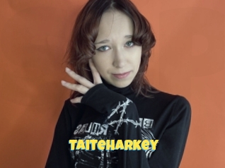 Taiteharkey