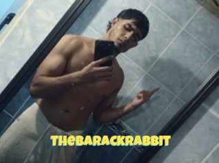 Thebarackrabbit