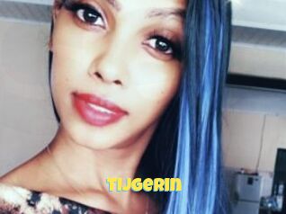 Tijgerin