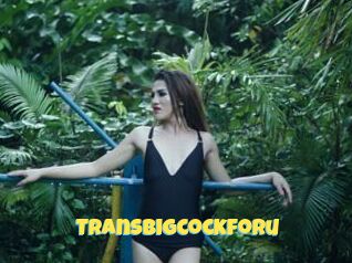 Transbigcockforu