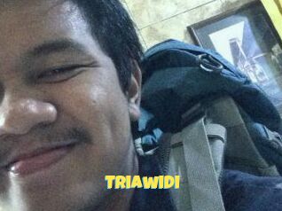 Triawidi