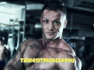 Tridentmuscles4u