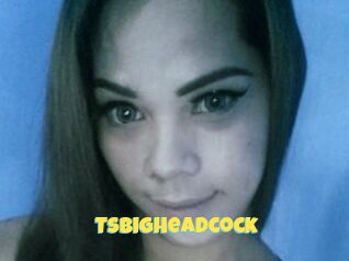 Tsbigheadcock