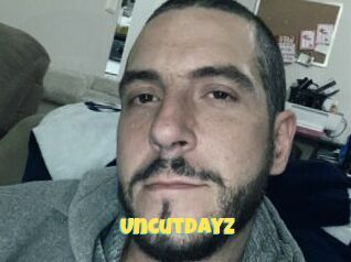 UncutDayz