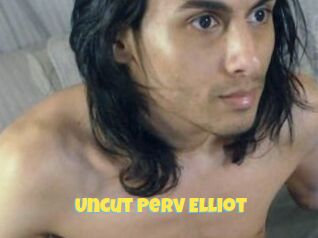 Uncut_Perv_Elliot