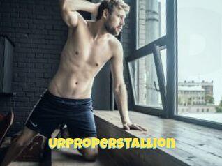 UrProperStallion
