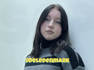 Udeledenmark