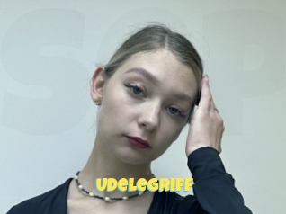 Udelegriff