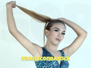 Uranacondacock