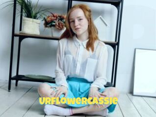 Urflowercassie