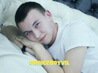 Urniceboyvil