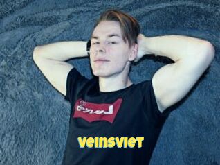 VeinsViet