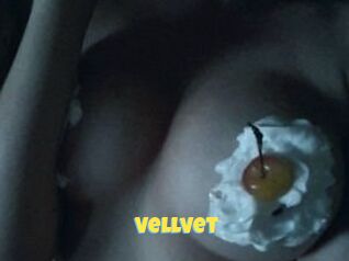 Vellvet