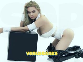 VenusBanks