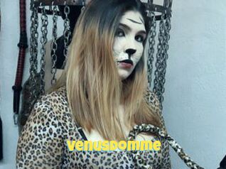 VenusDomme
