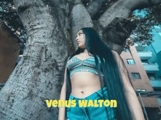Venus_Walton