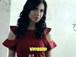 VioBird