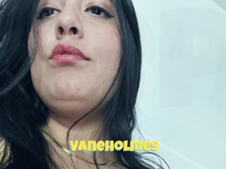 Vaneholmes